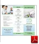 Servicios